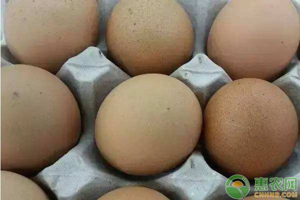 山东鸡蛋价格创年内新低，未来鸡蛋价格还会涨吗？