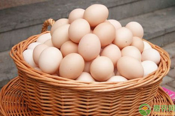 2020年6月份全国鸡蛋价格行情预测及走势分析