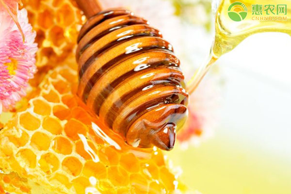 蜂胶是什么？有哪些功效与食用禁忌？