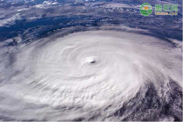 第三号台风森拉克给南方天气带来了哪些影响？