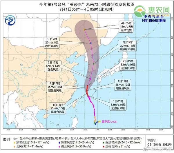 浙江上海等地沿海将有7-9级大风！大风来了怎么避险？