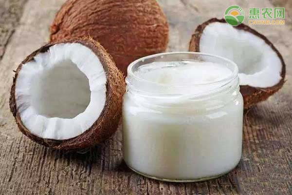 椰子油要怎么吃？椰子油有哪些功效和作用？