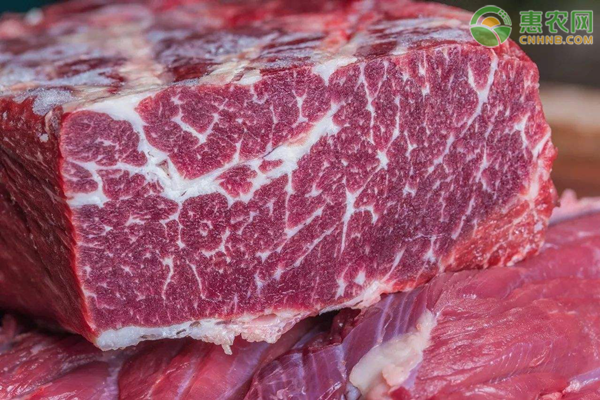 今日牛肉价格行情如何？2021春节牛肉还会涨价吗？