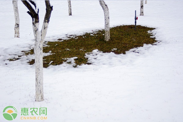 贵州省农业农村厅关于切实做好寒潮（凝冻） 天气防御工作的通知