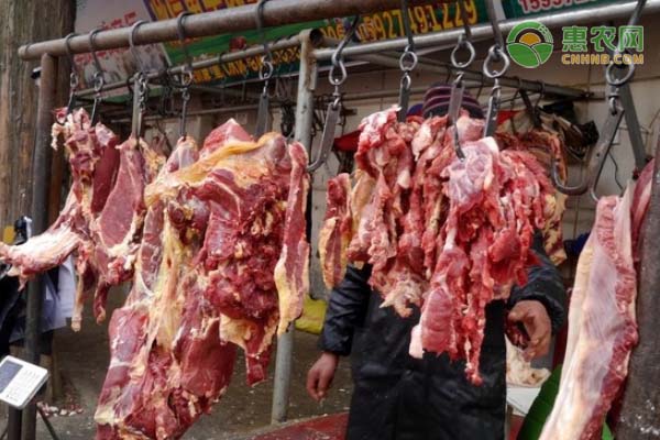 2021年2月羊肉价格最新行情预测及走势分析