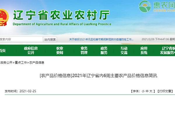 辽宁省内第6周主要蔬菜品种市场价格简讯