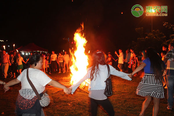 火把节是哪个民族的传统节日？有什么习俗？