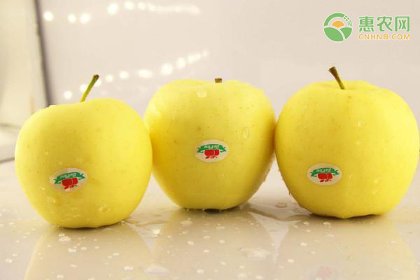 金冠苹果价格多少钱一斤？和普通苹果有何区别？