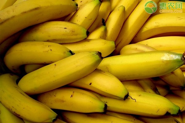 口感好的香蕉品种有哪些？