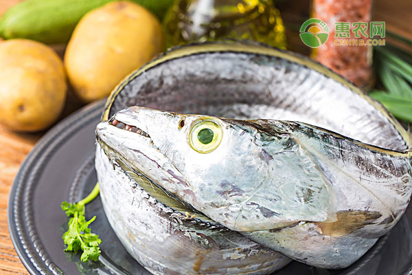 胶东带鱼怎么做好吃？