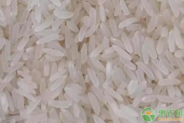 黄粒米是什么米？能吃吗？