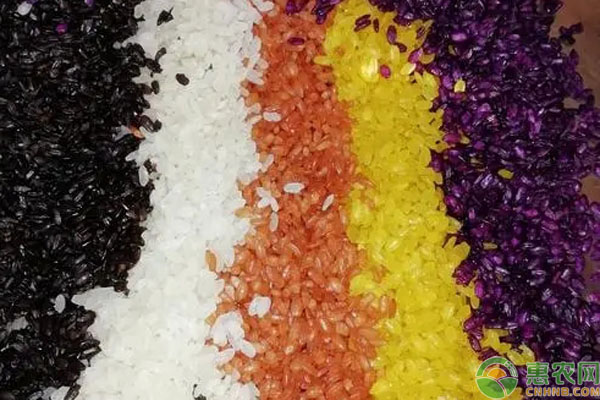 五色米是哪五种颜色？都是哪几种米？