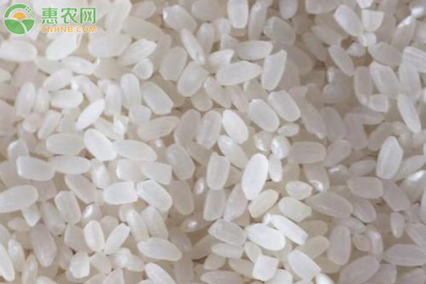 小米和普通大米有什么区别？