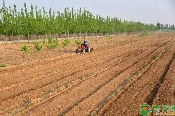 中国农业发展离不开什么？