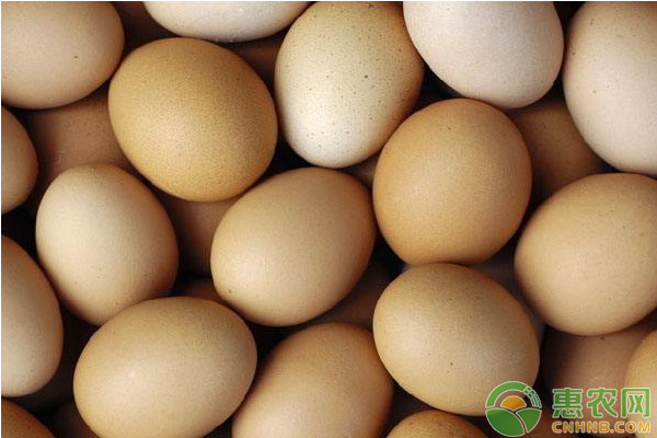 我国哪些地方产的鸡蛋最出名？