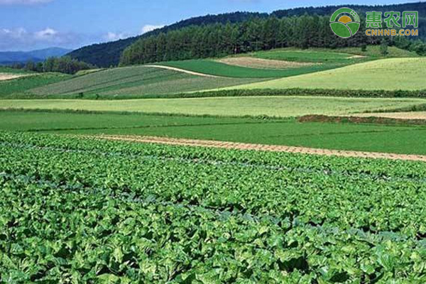 农业发展有限公司经营范围及注册