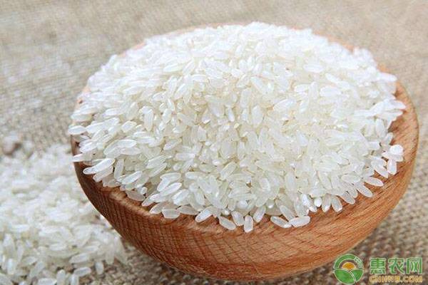 2022年大米价格多少钱一斤？优质大米的特点有哪些？