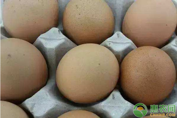 如何分辨鸡蛋是否变质？